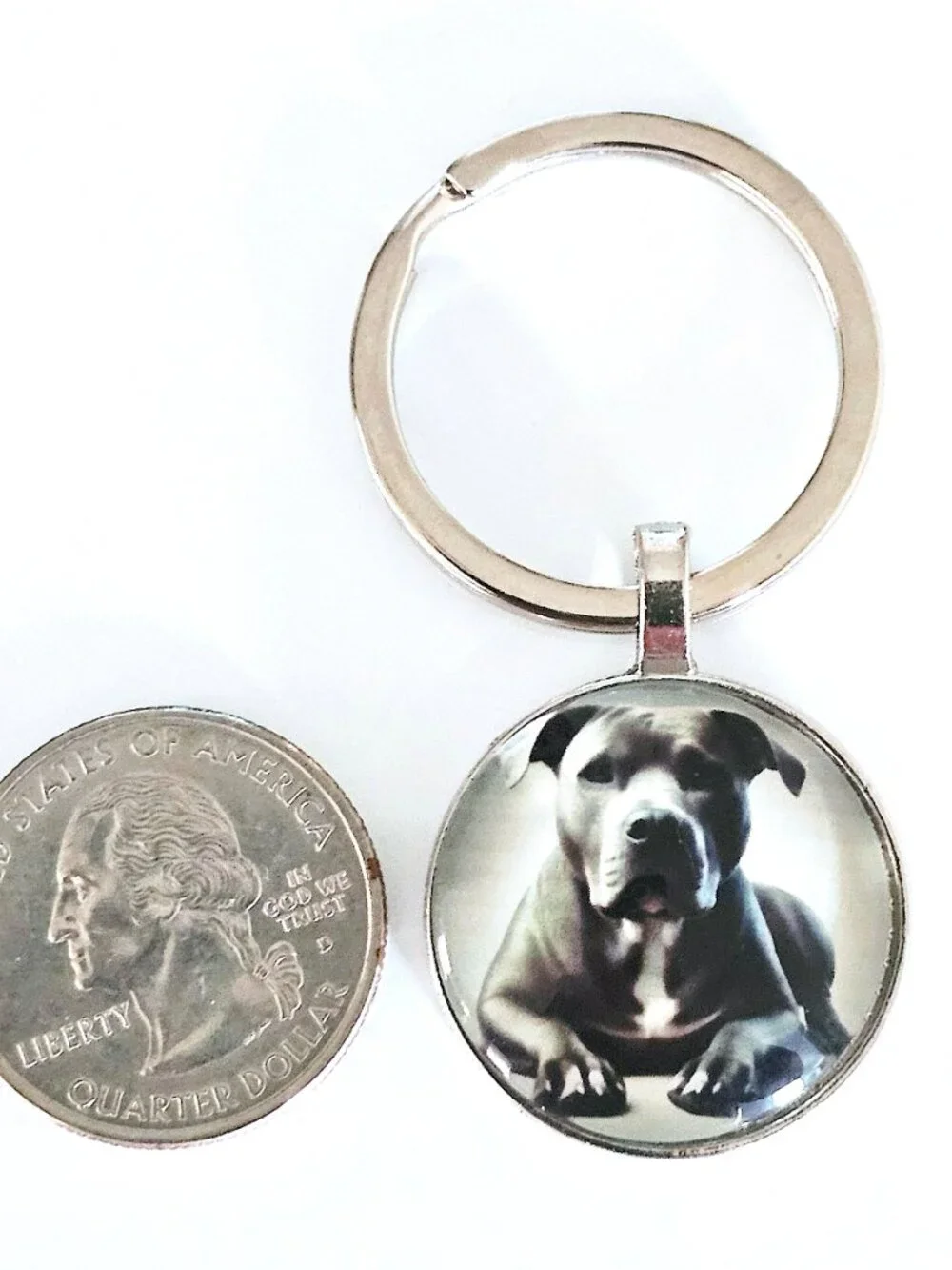 Pit Bull Glass Cabochon Keychain, American Bully, Unisex, Dog Lover Gift, Charm